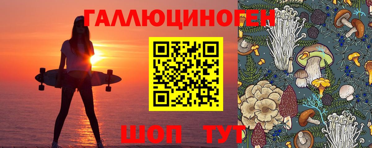 Псилоцибиновые грибы Psilocybe  Вход с VPN  Пенза  Галлюциногенные грибы Magic Shrooms 